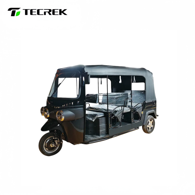 Vintage-Style Commuter Tricycle