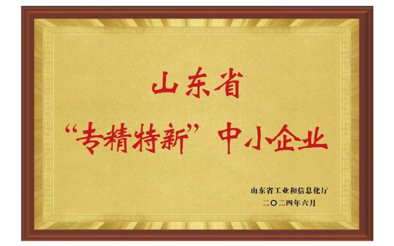 Certificate 6