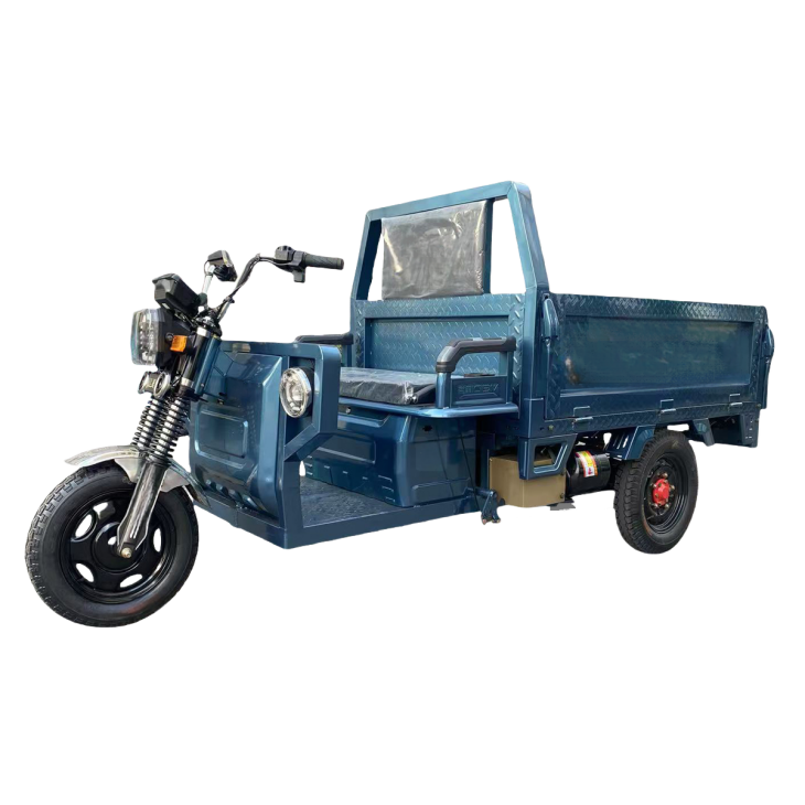 Tricycle (1)