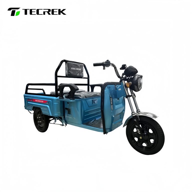 LETU Cargo Electric Tricycle