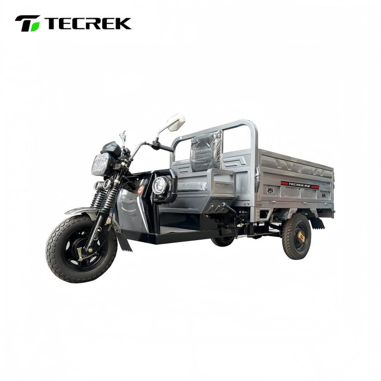 Electric Heavy-Duty Transport Tricycle