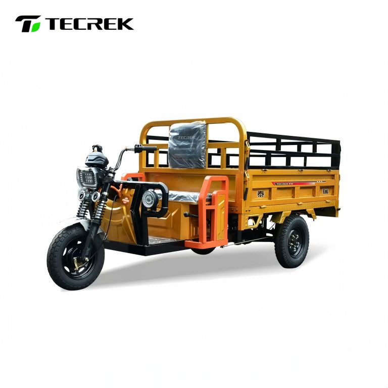 Versatile Electric Tricycle