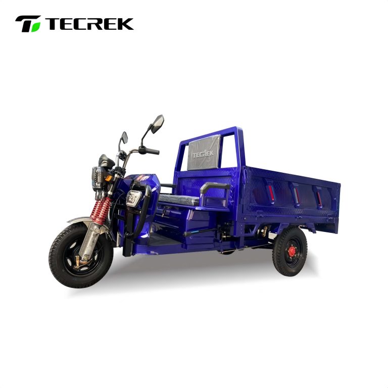Unveiling the Hottest Electric Freight Tricycles in Google Searches