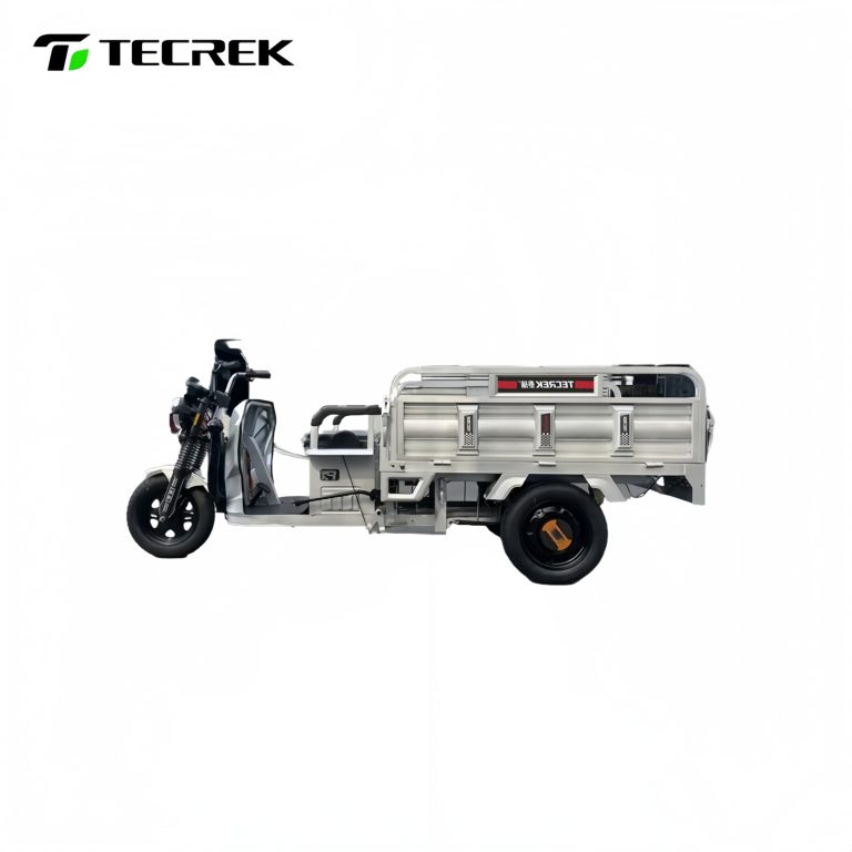 Efficient Urban Freight: Affordable Electric Trike for Wholesale Buyers