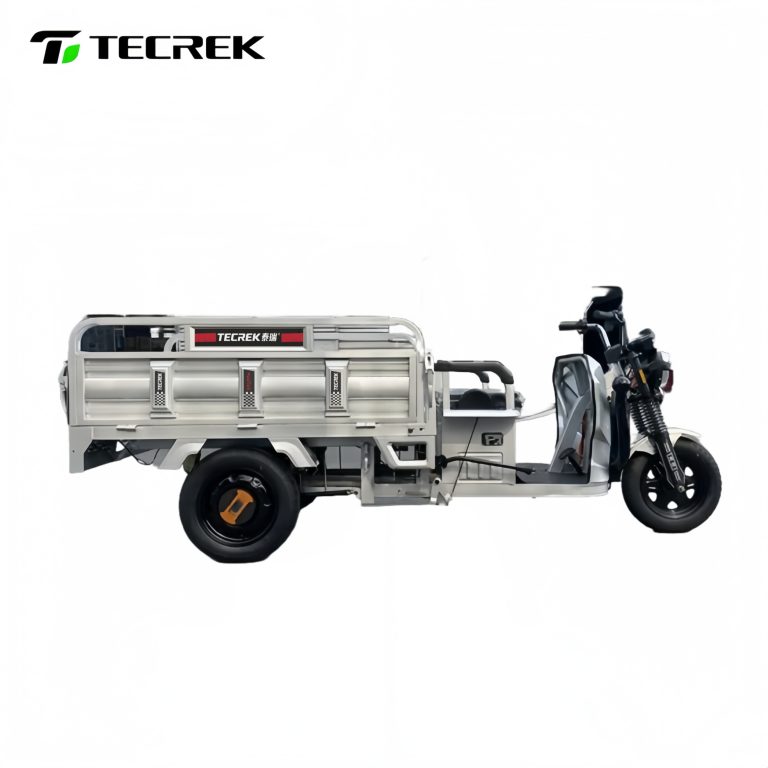 Efficient Urban Freight: Affordable Electric Trike for Wholesale Buyers