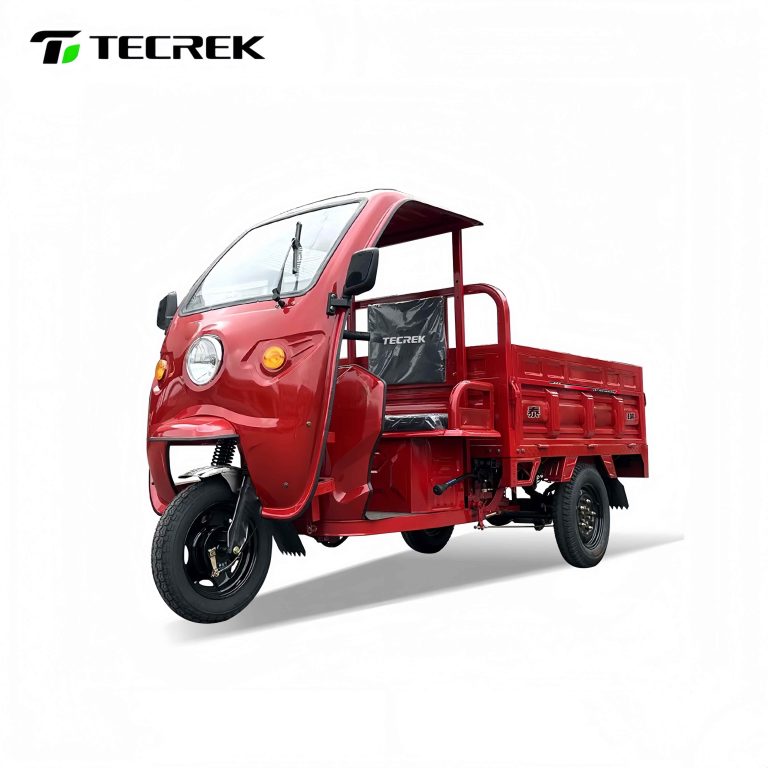 Blue electric cargo tricycle with open - air cabin, large rear cargo box. Technical specs: 1600×1100mm cargo size, 248kg curb weight, 35 - 45km/h max speed. Suitable for wholesale logistics, warehousing delivery