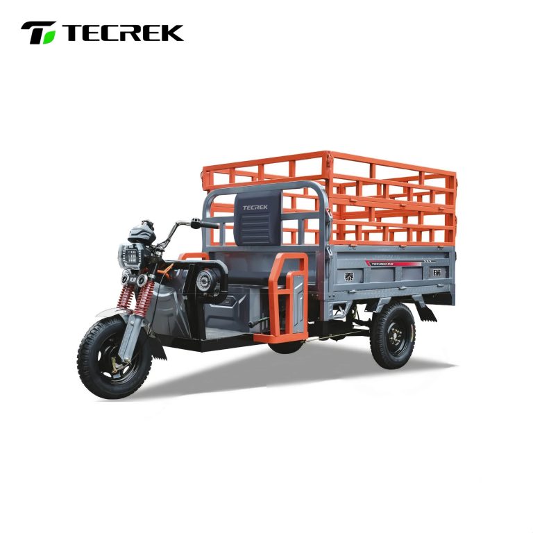 Electric Tricycle Large Scale Freight