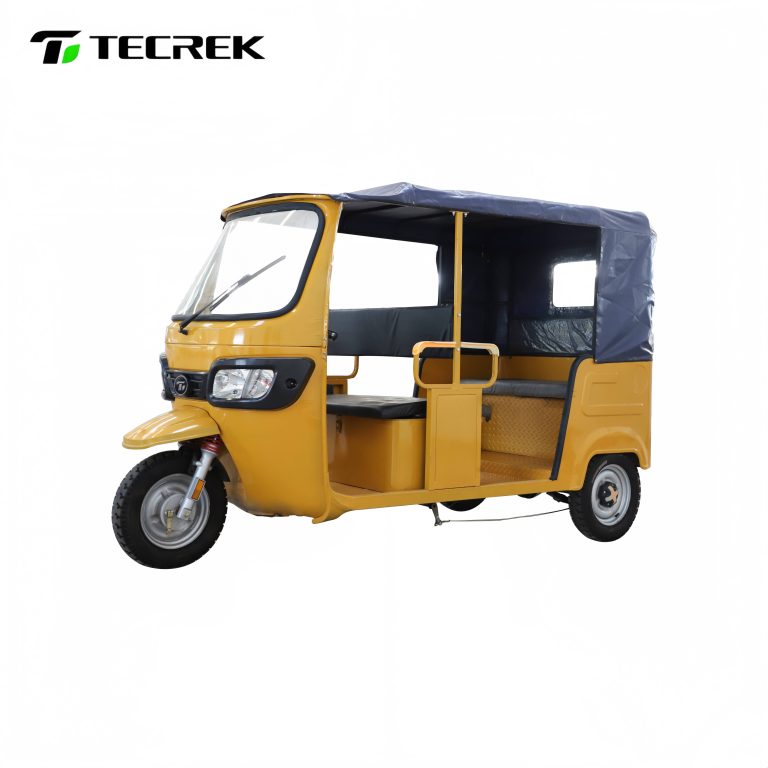 Electric Tuk Tuk