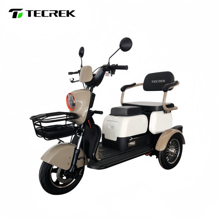 Passenger electric tricycle P103 with compact body design, 60V1000W motor, lead-acid battery, hydraulic shock absorber, front disc and rear drum brakes, designed for urban short-distance passenger transport, EEC/COC certified for international markets