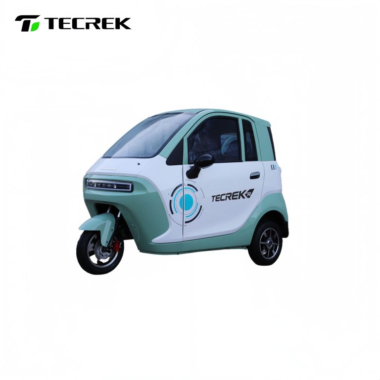 electric passenger trike