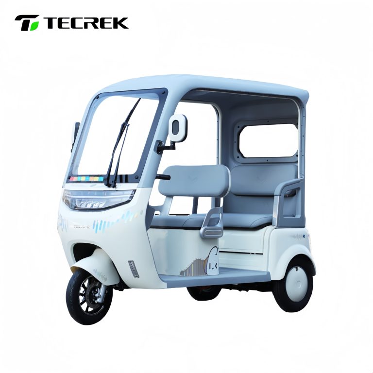 Eco Friendly Electric Tuk