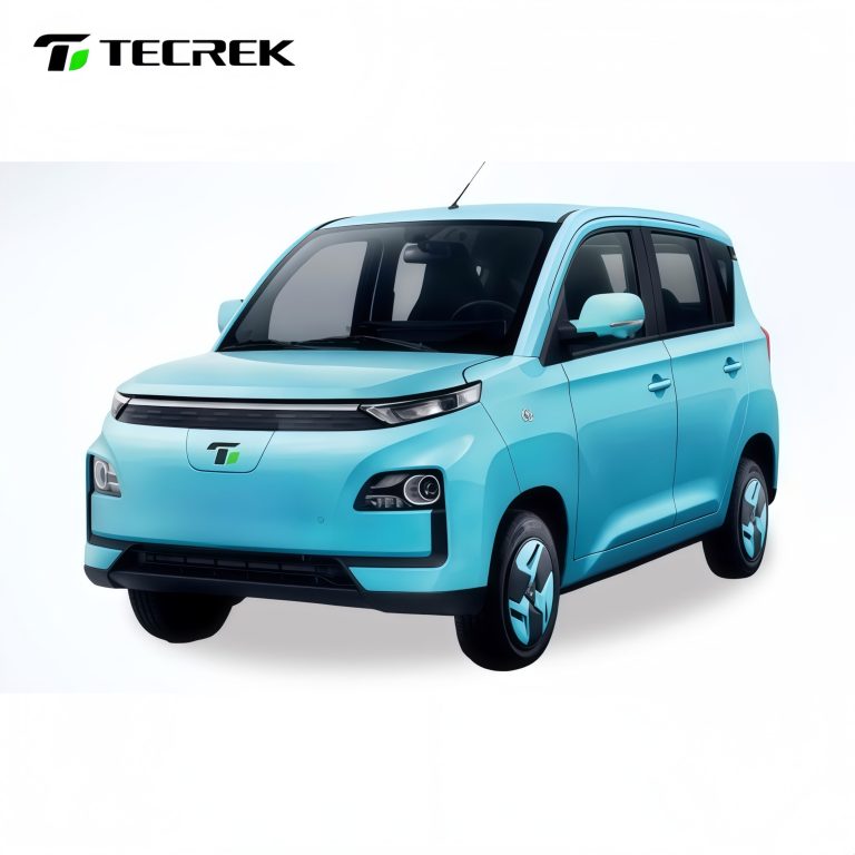 5 Door Electric Mini Car