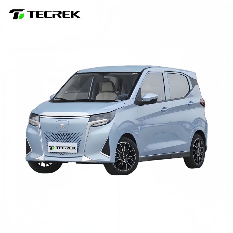 Long-Range Mini Electric Car