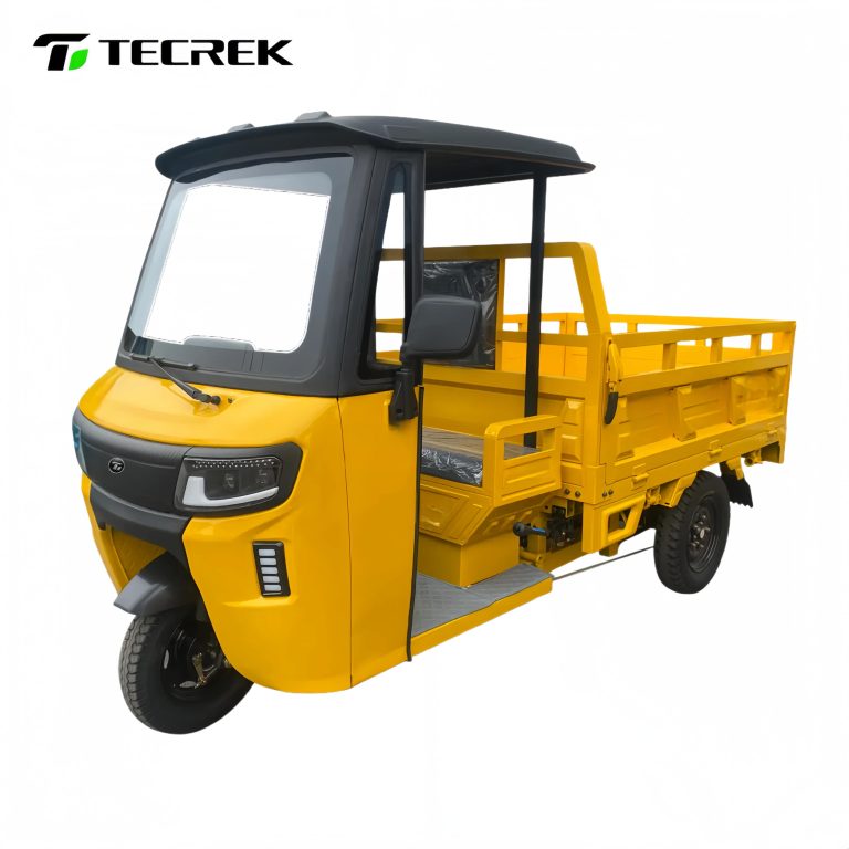 Heavy Duty Cargo Electric Trike