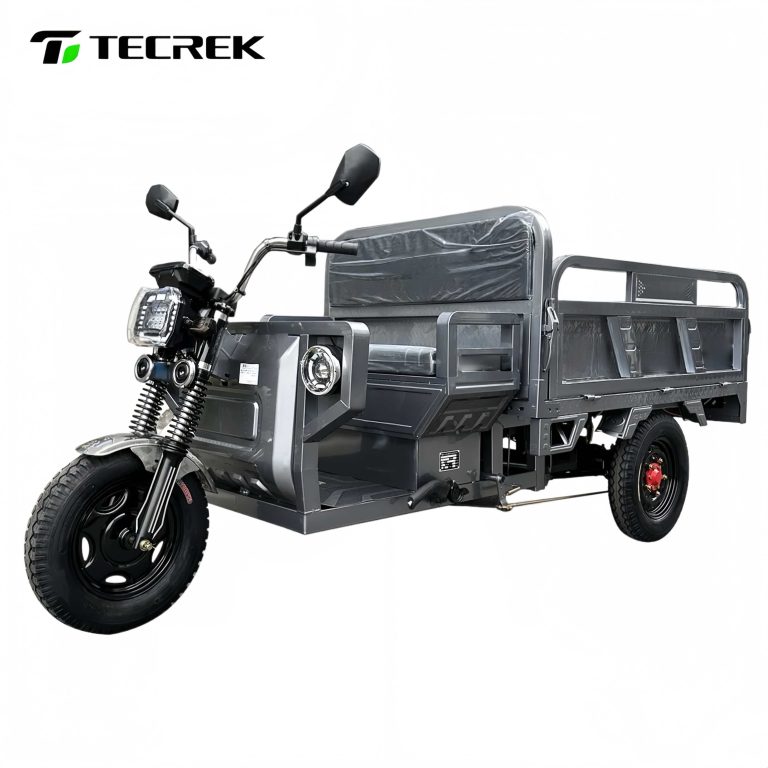 Three wheel freight trike