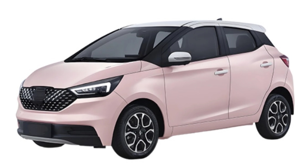 Small suv Electric four seat