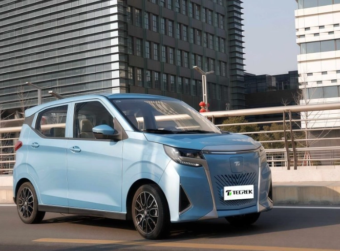 Long Range Mini Electric Car