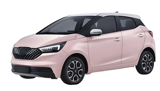Small suv Electric four seat