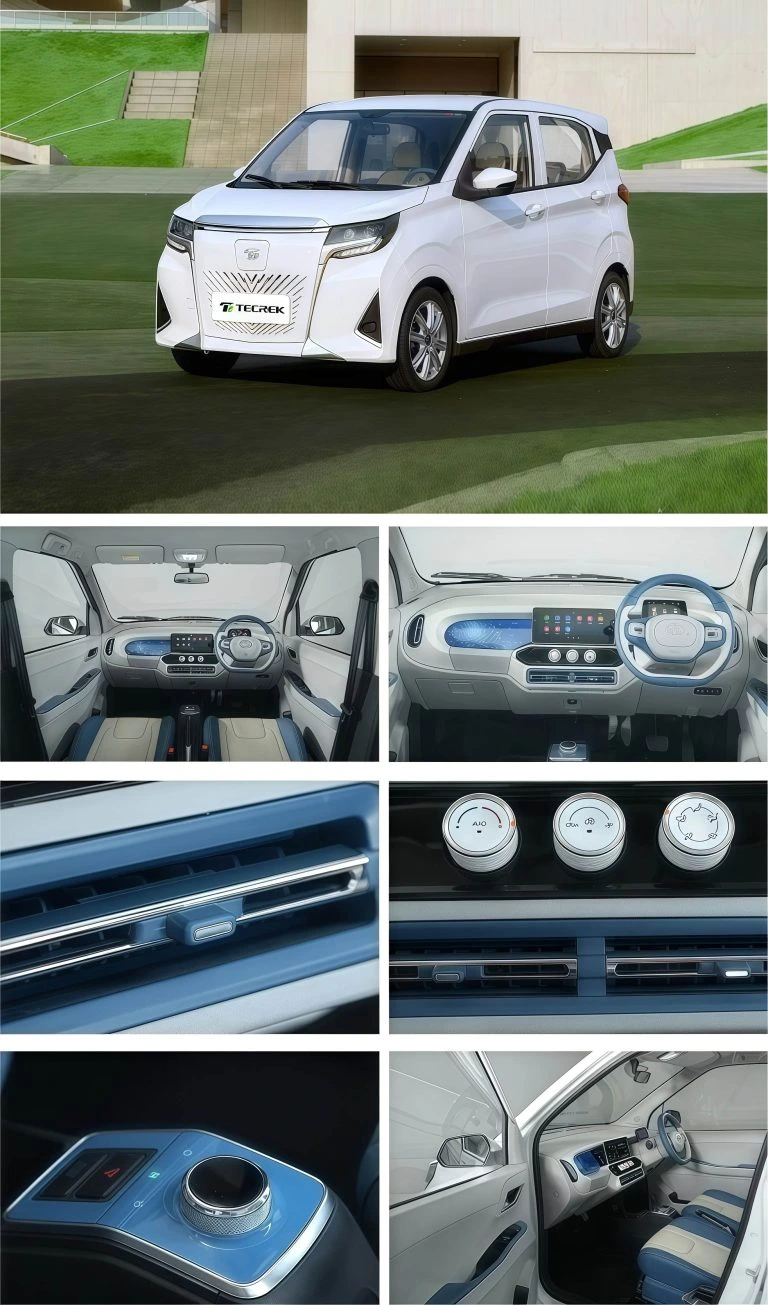 Long Range Mini Electric Car